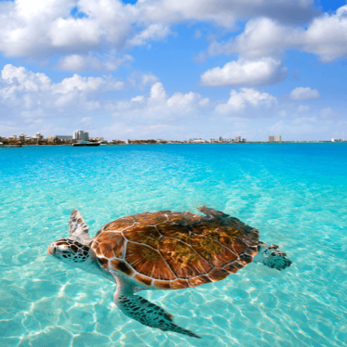 cancun